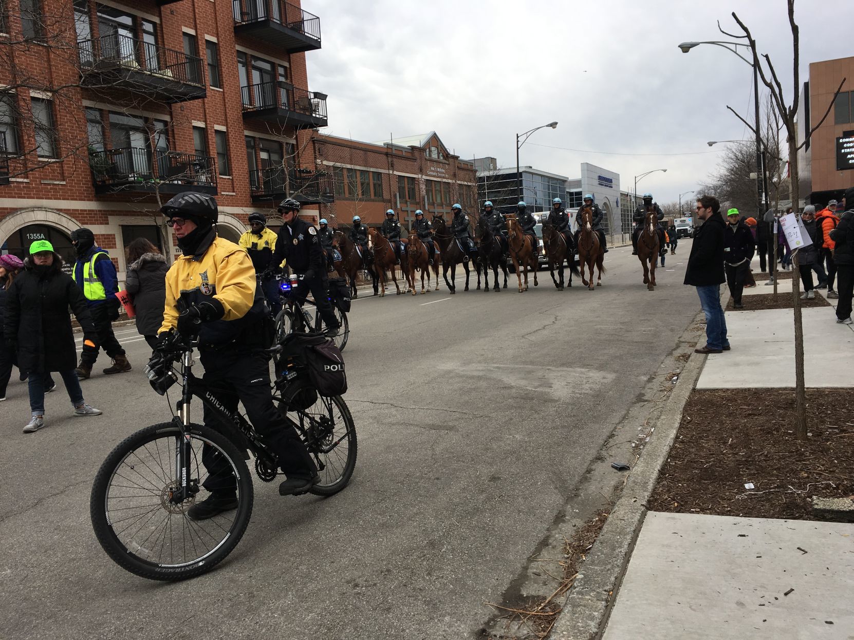March For Our Lives Chicago